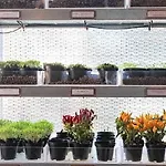 Ξενοδοχείο One Siracusa Wellness &